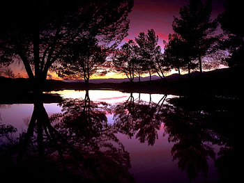 Nature, Trees, Lake, Reflection, California, Santa Clarita HD wallpaper