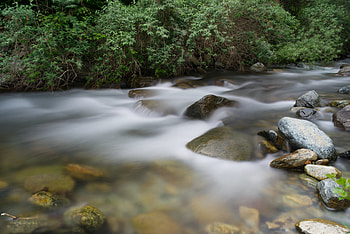 Plants, Nature, Water, Stones, Fog HD wallpaper