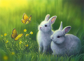 White Rabbits, butterflies, grass, flower, rabbits HD wallpaper