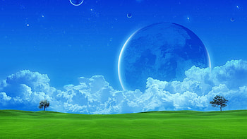 Computer – Tree HD wallpaper