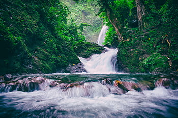 A tranquil waterfall flows through a lush, green forest in Bicol, Philippines, creating a serene natural landscape. HD wallpaper
