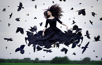Crow Woman graphy, crow, birds, graphy, black HD wallpaper