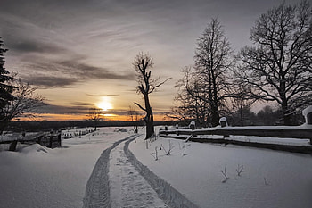 winter scene, winter, , nature, scene HD wallpaper