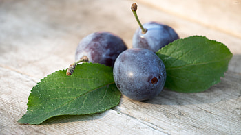 Three juicy plums, Beautifully arranged, Leafy backdrop, Captivating HD wallpaper
