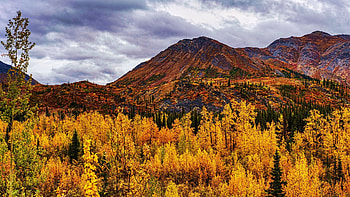 Autumn at Banff National Park, Alberta, hills, fall, clouds, landscape, colors, trees, sky, canada HD wallpaper