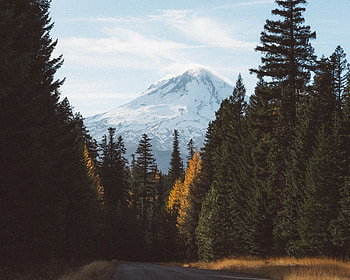 Nature, Mountains, Road, Forest HD wallpaper