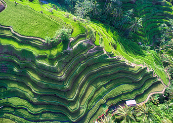 Bali on your , , Stunning , Memorable HD wallpaper
