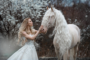 Bride and white horse, marketa novak, iarna, girl, bride, winter, mireasa, white, horse, blonde, woman, marie rencova HD wallpaper