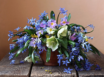 ✼ ✼, Flowers, White, Bouquet, Blue HD wallpaper