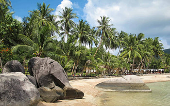 Koh Tao beaches, Ultimate guide, Tropical paradise, White sand shores HD wallpaper