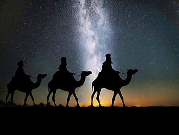 Silhouette, Starry Sky HD wallpaper