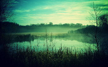 Nature, Twilight, Fog, Dusk, Gloomy, Pond, Reeds HD wallpaper