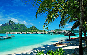 Nature, Palms, Shore, Bank, Relaxation, Rest, Lagoon, Hawaii, Resort, Blue Water HD wallpaper