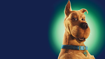Scooby Doo, Movie HD wallpaper