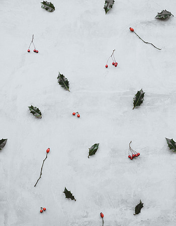 Leaves, Berries, Miscellanea, Miscellaneous, Clusters, Bunches HD phone wallpaper
