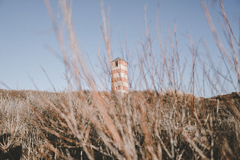 Nature, Grass, Bush, Building, Tower HD wallpaper