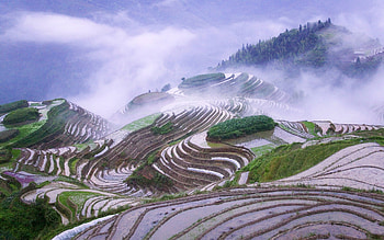 Landscape, Fields HD wallpaper