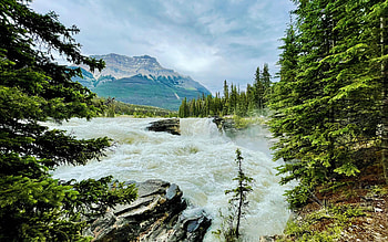 Moody Athabasca Falls, Jasper National Park, river, trees, clouds, sky, canada, mountains, alberta HD wallpaper