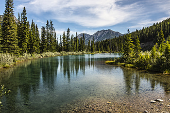 Nature, Trees, Mountains, Vertex, Lake, Forest, Tops HD wallpaper
