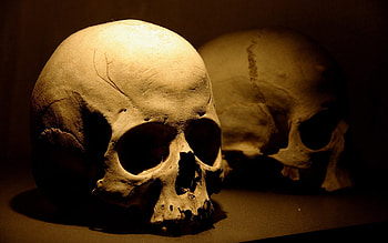 Death, Objects HD wallpaper
