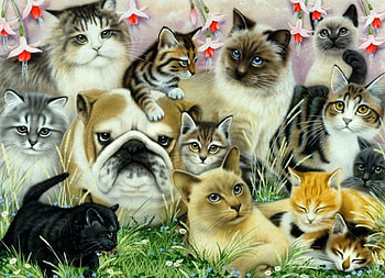 By Howard Robinson, dog, kitten, sweet, animal, art, howard robinson, cat, puppy, painting, nature, pet HD wallpaper