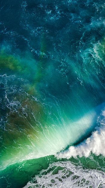 Live, Background, Screen HD phone wallpaper