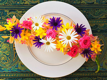 Plate of petals, colorful, flowers, plate, petals HD wallpaper
