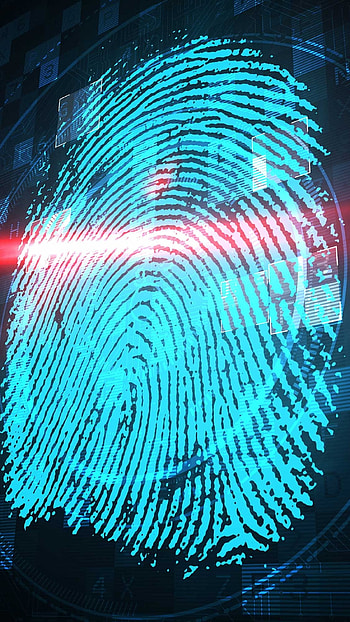 Fingerprint, Scanning, Technology HD phone wallpaper