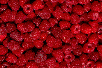 Food, Raspberry, Desert, Berry, Fruit HD wallpaper
