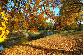 Autumn, river, fall, leaf, tree HD wallpaper