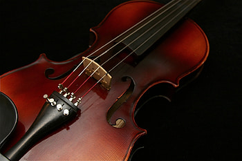 Viola rental, Approved instrument, Educator's choice, Rent HD wallpaper