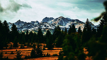 Durmitor, Montenegro, trees, landscape, sky, peaks, clouds HD wallpaper