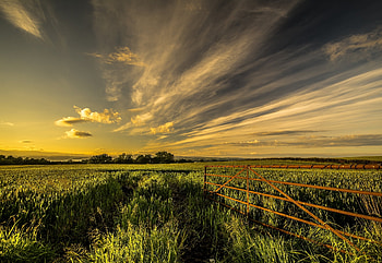 Nature, Grass, Sky, Summer, Field, Fencing, Enclosure HD wallpaper