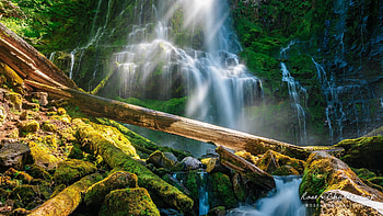 Afternoon at Proxy Falls in the Willamette National Forest, Oregon, rocks, river, falls, cascades, trees, usa HD wallpaper