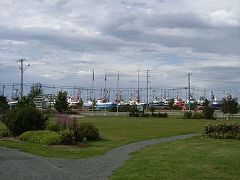 Untitle, boat, poles, grass, cloud, tree HD wallpaper