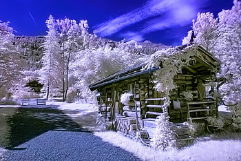 Winter, graphy, wonderful, snowflakes, snowflake, snow, trees, , sun, cold, beautiful, tree, nature, sky, lovely, splendor, ice HD wallpaper