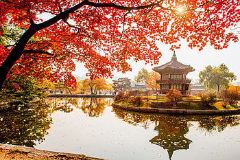 Gyeongbokgung place in Autumn, Leaves, Bridge, Temple, Park, Lake, Nature HD wallpaper