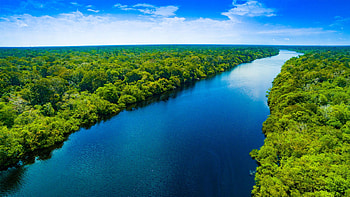Rain forest archives, Lassomagazin HD wallpaper