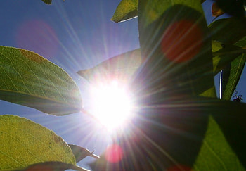 sunshine in autum time..., natur, forces of nature, rainbow, sunsets HD wallpaper