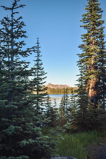 Nature, Rivers, Trees, Sky, Mountains, Fir, Spruce HD phone wallpaper