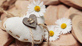 Camomile, Love, Romance, Threads, Thread, Heart HD wallpaper