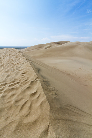 Landscape, Nature, Sand, Desert, Hills, Dunes, Links HD phone wallpaper
