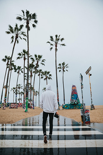 Palms, Miscellanea, Miscellaneous, grapher, Camera, Hood HD phone wallpaper