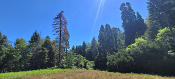 Hiking in Greater San Diego County – Landscape graphy, forest, Southern California, California, landscape, hiking, graphy, nature HD wallpaper