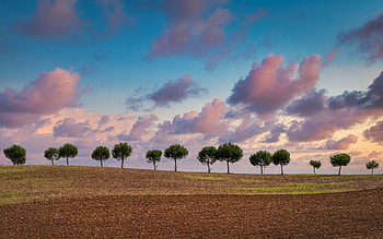 Field in France, France, clouds, trees, field HD wallpaper