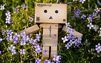 Flowers, Grass, Miscellanea, Miscellaneous, Cardboard Robot, Danboard HD wallpaper