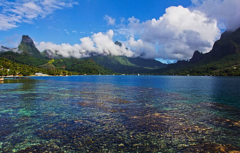 Moorea island, Pristine shores, Lush greenery, Tropical hideaway HD wallpaper