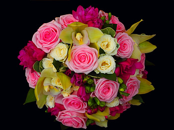 Plants, Flowers, Bouquets HD wallpaper