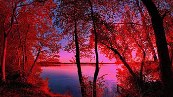 morning on the lake, lakes, lovely, nice, mountain HD wallpaper