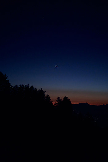 Trees, Night, Moon, Dark, Outlines, Darkness HD phone wallpaper